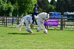 SBM_09319