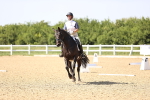 SBM_010216