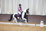 SBM_008801