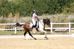 SBM_001652