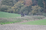 WJ7_9129