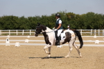 SBM_004274