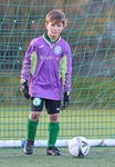 Milnthorpe United Under 8's portfolio