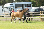 SBM_02203