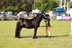 SBM_00844