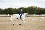 SBM_009050
