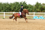 SBM_002635