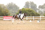 SBM_004617