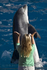 Sea World 01