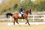 SBM_018667