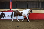 SBM_14894