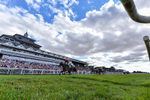 010826-Race 7-Maldevious-4742