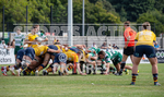 Guernsey Raiders v Old Albanian_2022-61