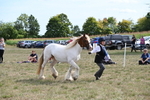 WJ6_6562