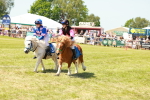 SBM_16729