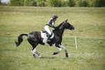 BVHT 140517  IXC -862
