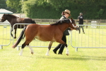 SBM_00392