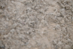 SBM_003025
