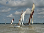 Rowhedge Regatta 2025 portfolio