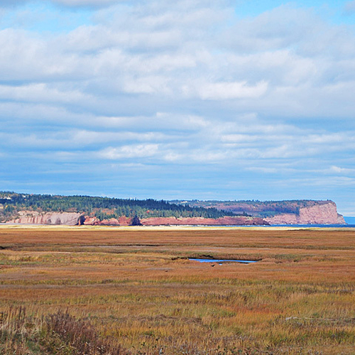 This tidal salt marsh lies between St. Martins and West Quaco in Saint John County, New Brunswick, Canada and is situ…
