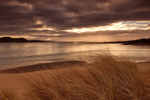 Trawbreaga bay