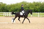 SBM_006933