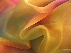 Vibrant & Soft portfolio