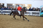 SBM_004654