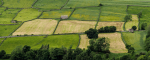 Yorkshire10