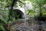 Cleeve Wood Bridge _53