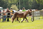 SBM_02509