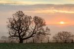 Winter Sunrise