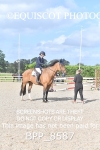 BPP_8587