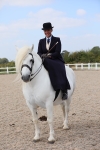 Class 211 Best Side Saddle Horse/Pony portfolio