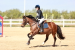 SBM_006833