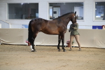 SBM_00536