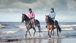Ayr 1