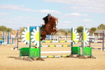 Class 5 - Senior British Foxhunter - 1.20m portfolio