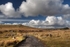 Dartmoor (indentify)