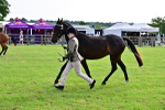 SBM_00085