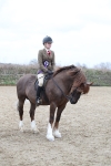 SBM_006446