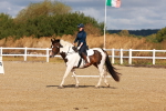 SBM_009682