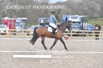 BPP_8776