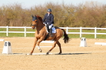 SBM_003493