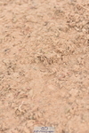 231011A-110638-00160