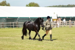 SBM_07183