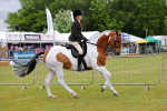 SBM_02504