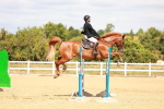 SBM_006511
