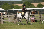 SBM_07590