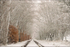 Morton Lane in Winter